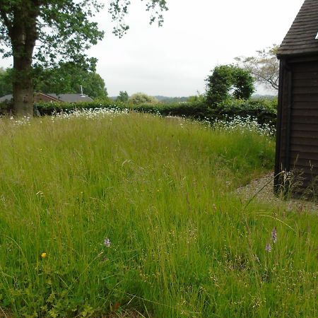 Bond'S Cottage Barn รอยัลทันบริดจ์เวลส์ ภายนอก รูปภาพ