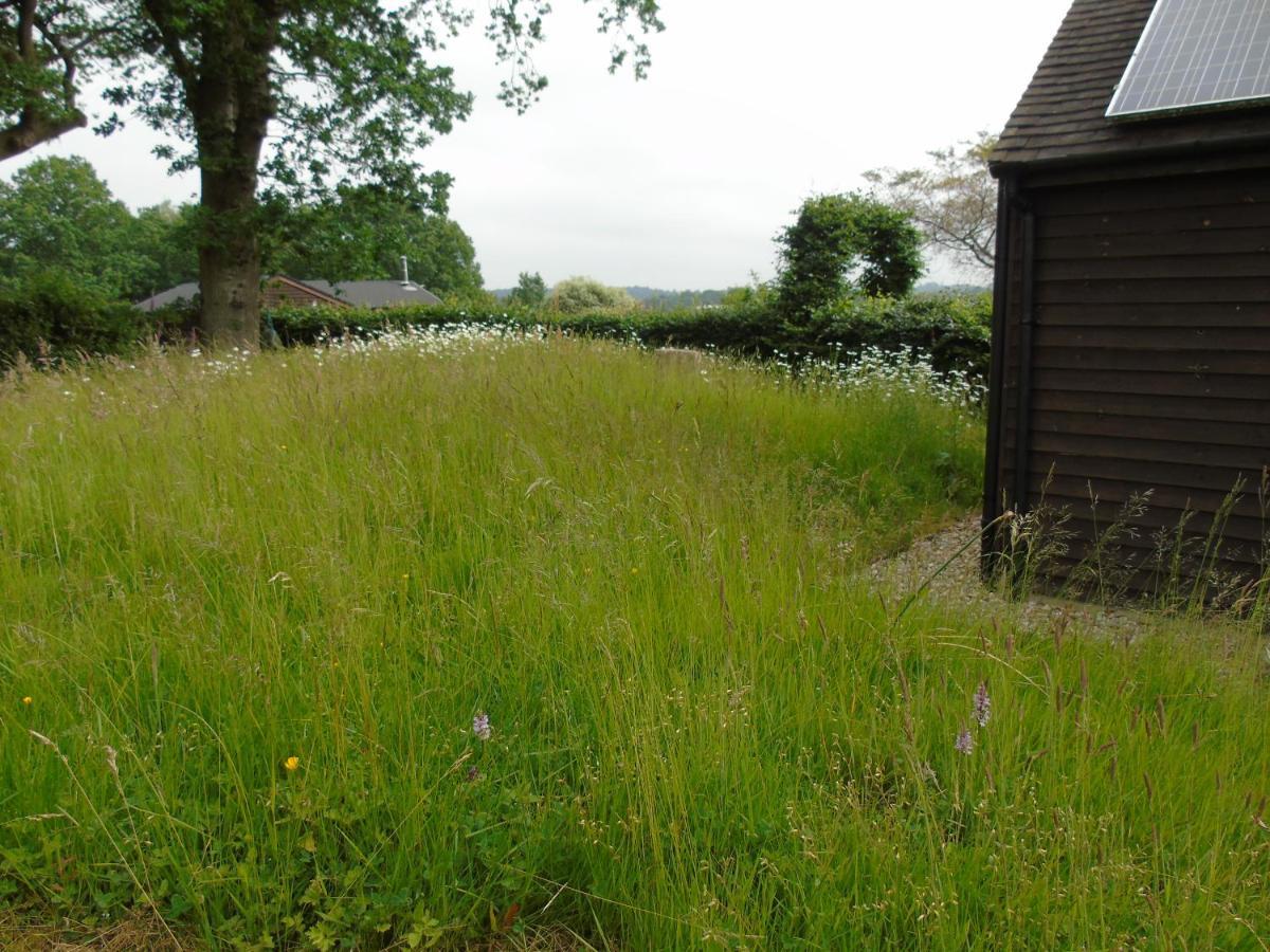 Bond'S Cottage Barn รอยัลทันบริดจ์เวลส์ ภายนอก รูปภาพ